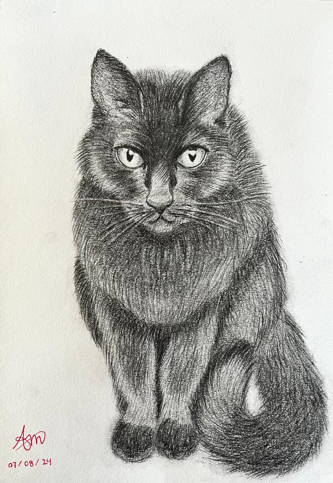 Kat tekening op papier